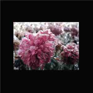 Rory Hinchey / The Collection Of The Late Howell Bend - Shape Is Nature / L ...