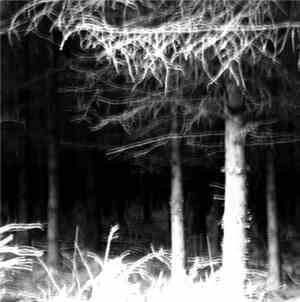 Tex La Homa - Fernworthy