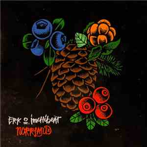 Erk  & Imchibeat - Norrland
