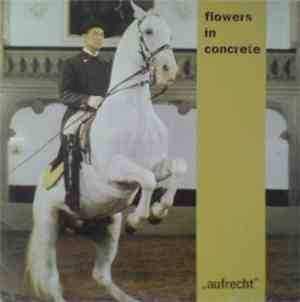 Flowers In Concrete - Aufrecht