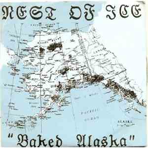 Nest Of Ice - Baked Alaska