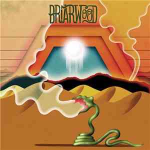 Wooden Wand And The Briarwood Virgins - Briarwood