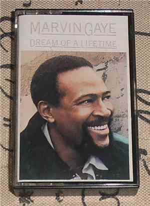 Marvin Gaye - Dream Of A Lifetime