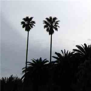 Preadventure - Formation Of The Positive