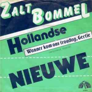 Hollandse Nieuwe - Zalt Bommel