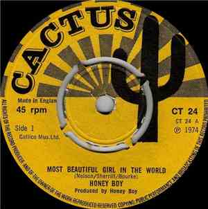 Honey Boy - Most Beautiful Girl In The World