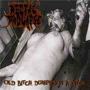 Rectal Prolapse - Old Bitch Dumped In A Ditch