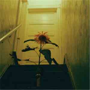 Sleep In Sundays 6-9 Falsetto Boy - The Sunflower Split