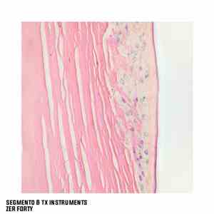 Segmento, Tx Instruments - Zer Forty