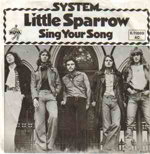 System - Little Sparrow