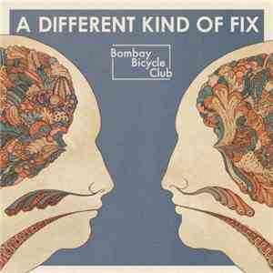 Bombay Bicycle Club - How Can You Swallow So Much Sleep (Tom Vek Big Beatni ...
