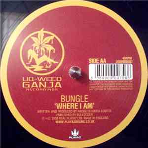 Bungle - Good Times / Where I Am
