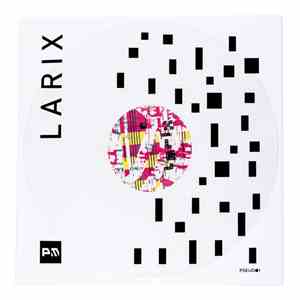 Larix  - Larix