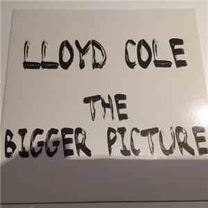 Lloyd Cole - The Bigger Picture