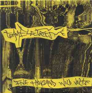 Team Electrics - Five Thousand Wild Volts