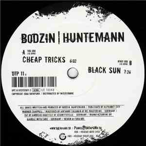 Bodzin | Huntemann - Black Sun