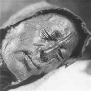 Disrotted - Disrotted