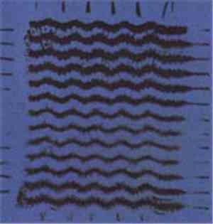 Hector Cuvelier & Emile De Potter, Bob Bellerue - Split