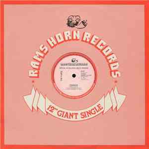 The Flirts - Passion (Special R.E.M.I.X.E.D. Disco Version)