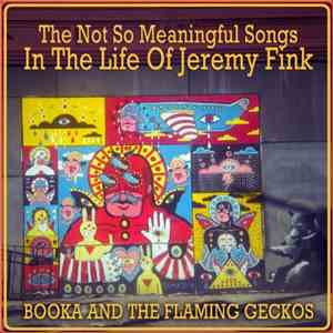 Booka & The Flaming Geckos - The Not So Meaningful Songs in the Life of Jeremy Fink