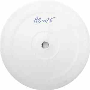 DJ's Rule Featuring Karen Brown - Get Into The Music '97