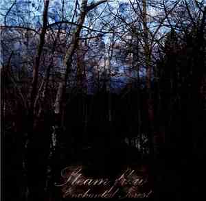 Steam Flow - Enchanted Forest