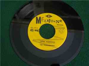 The Thunderbirds  - Wild Weekend