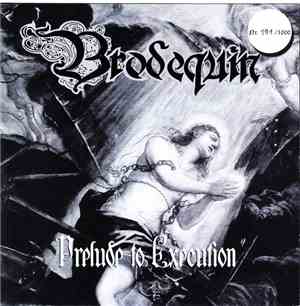 Brodequin / Tears Of Decay - Prelude To Execution / Stop The Madness