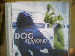 Dog Almond - Feathers & Sun