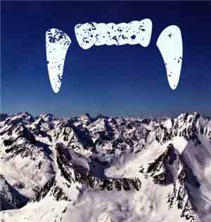 Grizzly Tours - Grizzly Tours