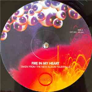Super Furry Animals - Fire In My Heart