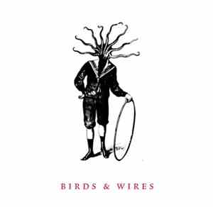 Birds And Wires - Untitled