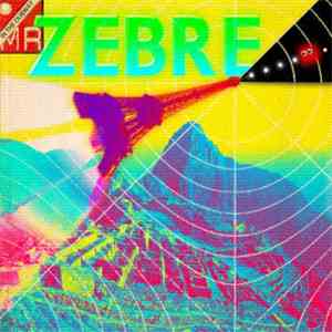 Mr. Zèbre - In The Dubway