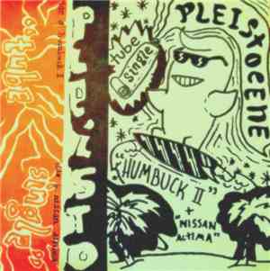 Pleistocene - 
