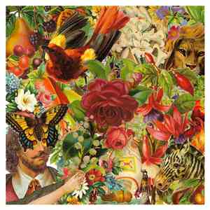Pretty & Nice - US YOU ALL WE