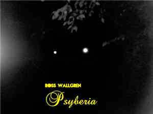 Ross Wallgren - Psyberia
