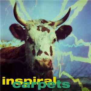 Inspiral Carpets - She Comes In The Fall