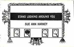Sue Ann Harkey - Stand Looking Around You