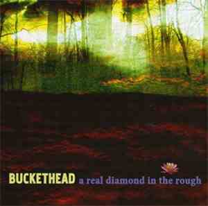 Buckethead - A Real Diamond In The Rough