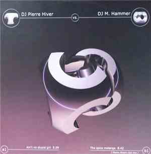 DJ Pierre Hiver vs. DJ M. Hammer - Ain't No Stupid Girl