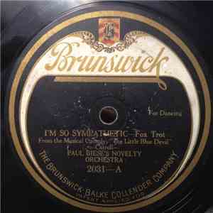 Paul Biese's Novelty Orchestra /  Gene Rodemich's Orchestra - I'm So Sympat ...