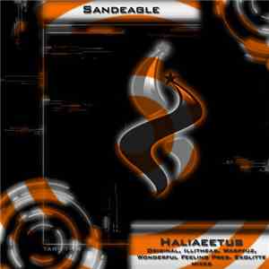 Sandeagle - Haliaeetus