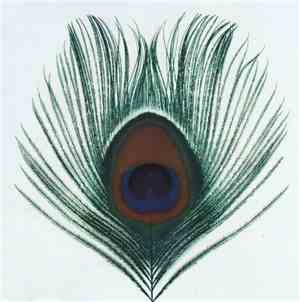 XTC - Apple Venus Volume 1
