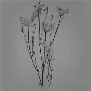 16P17R15O19T15O19T23Y16P & OBOZDUR - Frozen Pause. Winter Sessions