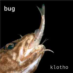 Bug  - Klotho