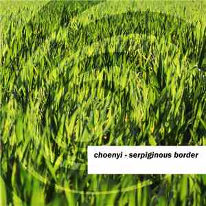 choenyi - Serpiginous Border