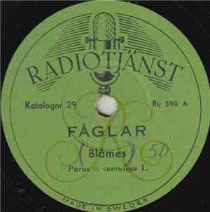 No Artist - Fåglar