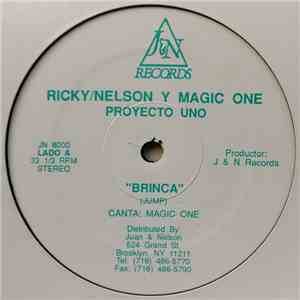 Proyecto Uno - Brinca