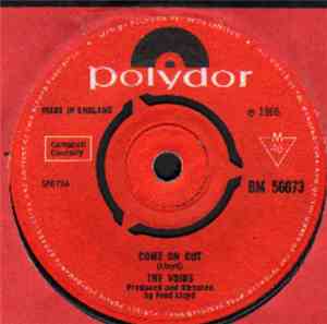 The Voids - I'm In A Fix