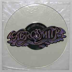 Aerosmith - Dude (Looks Like A Lady)